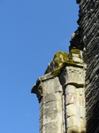 FZ003830 Moss on pilar at Crucis Abbey.jpg